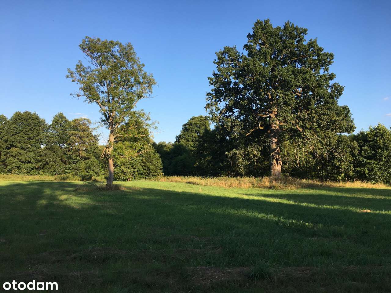 Działka budowlano inwestycyjna 23770m2