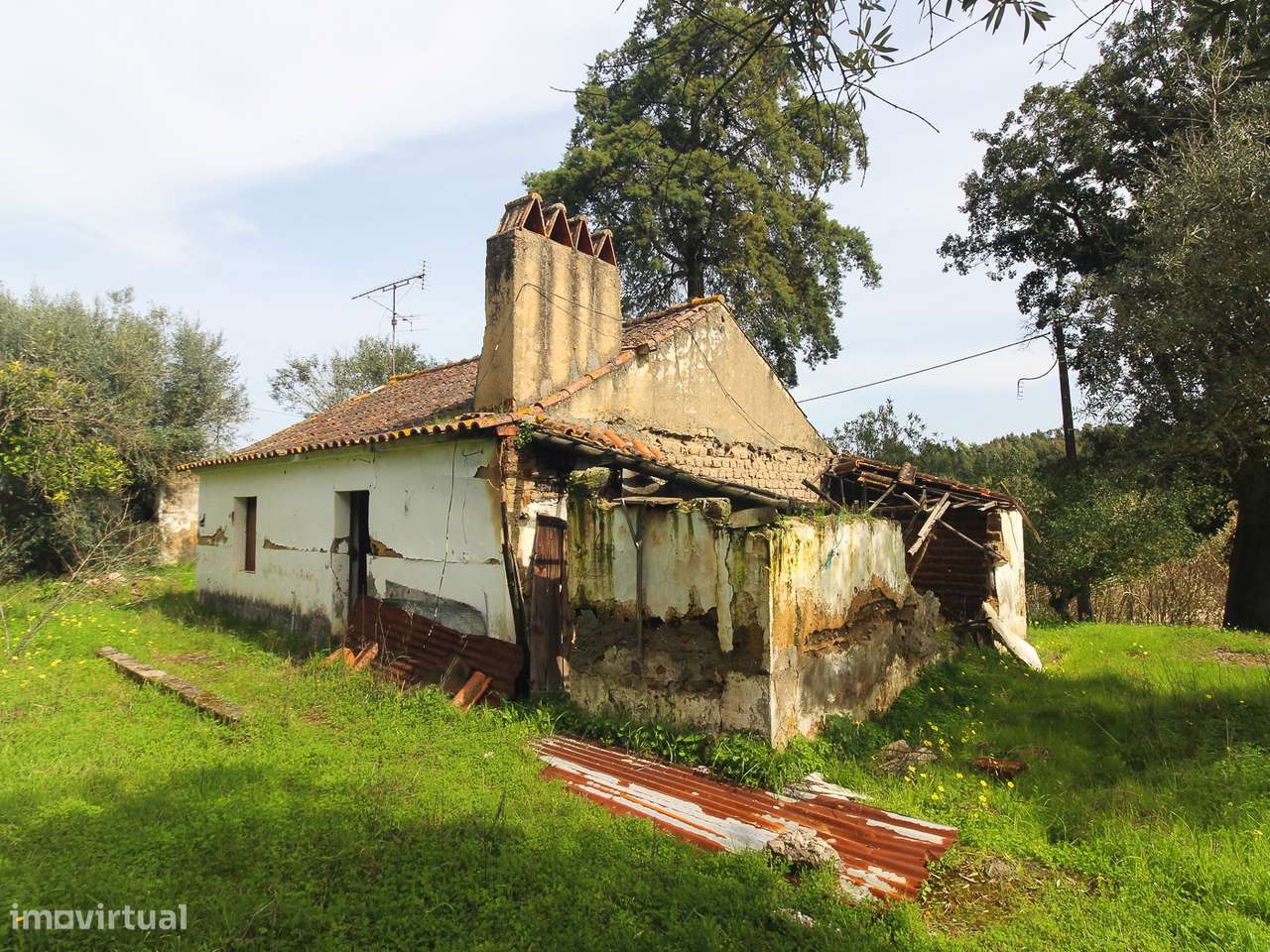 Terreno com cerca de 1 Hectare-16