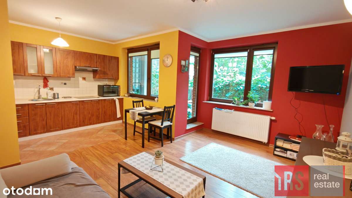 rs-ms-642749 - Pełny obrazek: 2/13