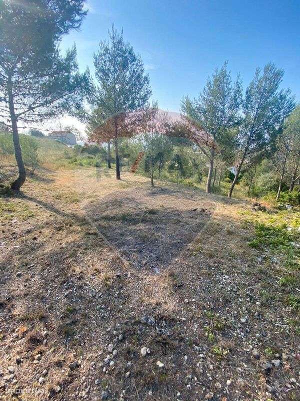 Terreno  para venda - Grande imagem: 2/8