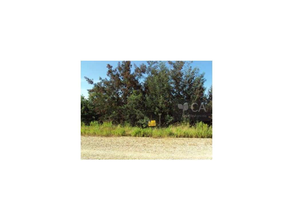 Lote de Terreno de Poiares - Grande imagem: 2/2