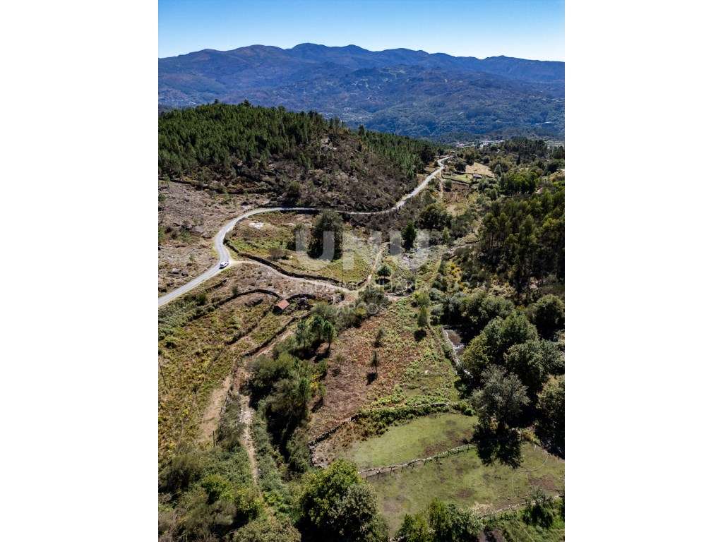 TERRENO PLANO E DE FÁCIL ACESSO - Grande imagem: 5/20