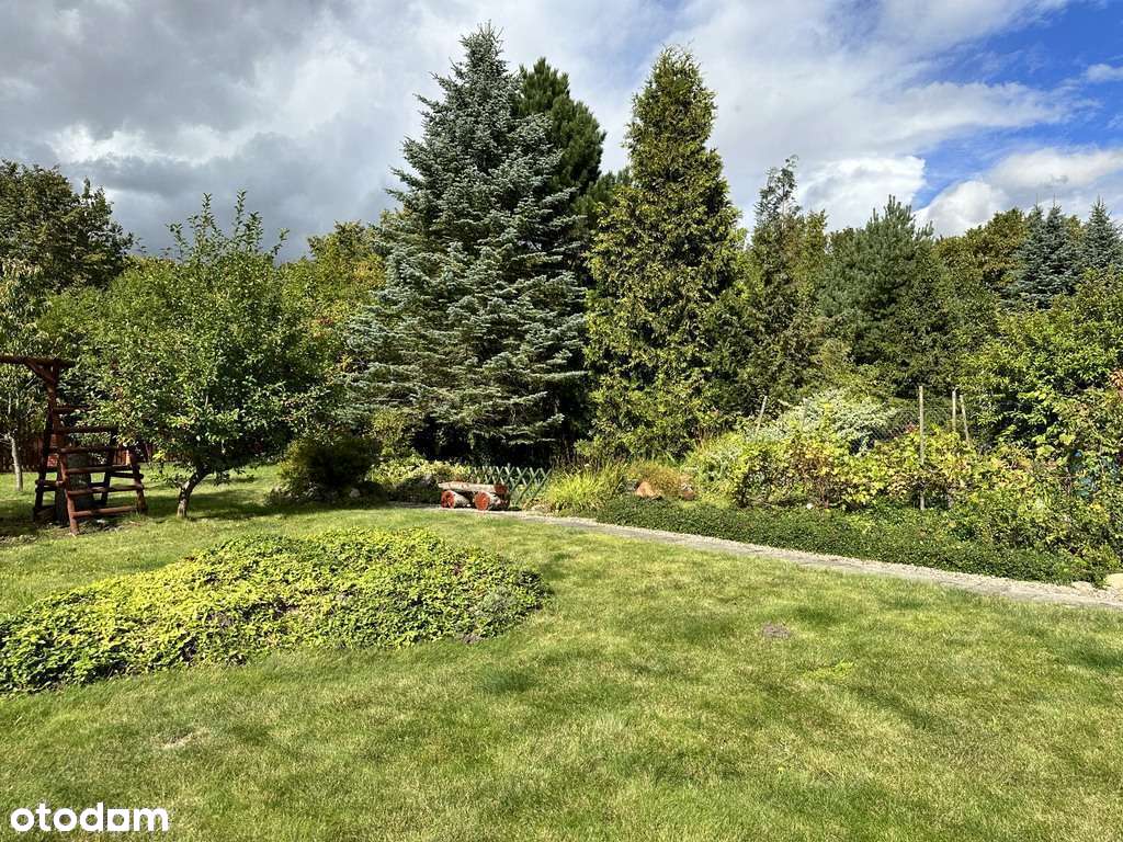 Przestronny dom w świetnej lokalizacji-3