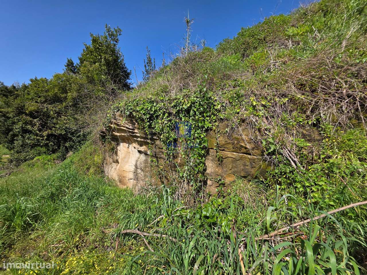 Quintinha com 12.484m2 de Terreno e 260m2 de área bruta. Possibilidad-23