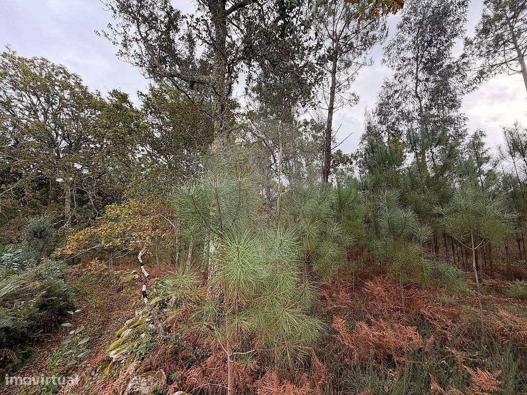 Terreno  para venda - Grande imagem: 5/8