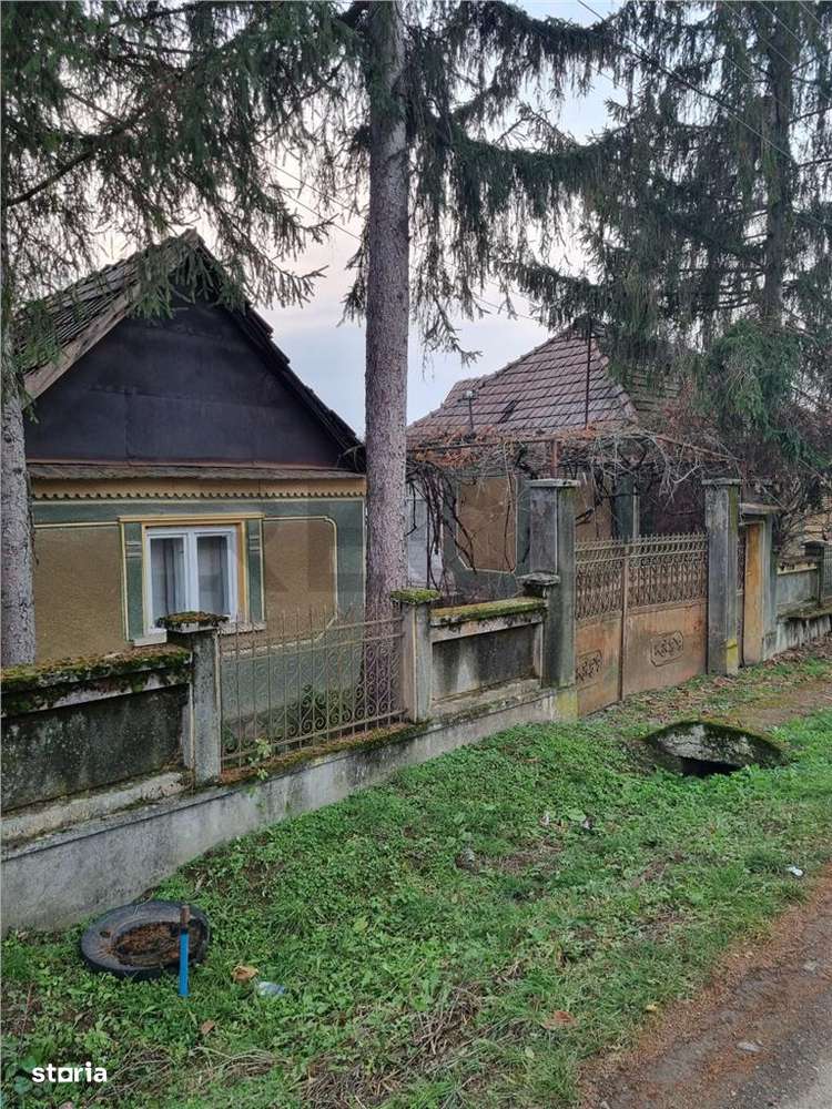 RECO Casa batraneasca cu teren generos in localitatea Tria-1