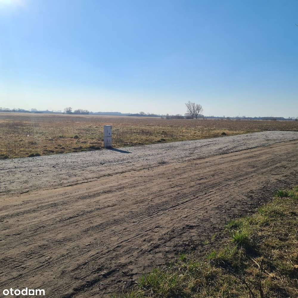 Działka, 16 000 m2, Środa Wielkopolska - Pełny obrazek: 5/5