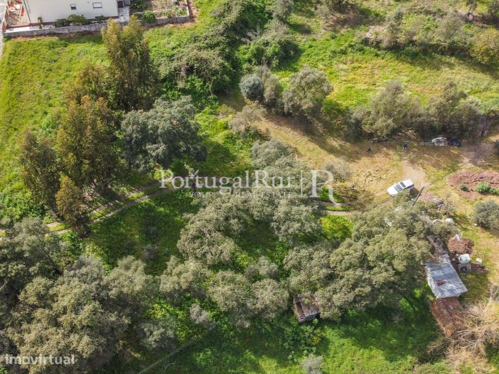 Terreno para construção em Proença-a-Nova - Grande imagem: 5/11