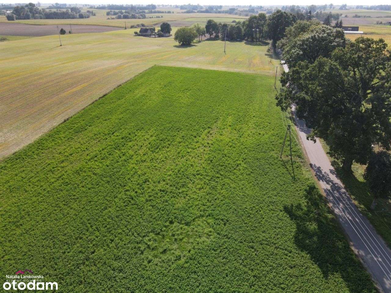 *PAPARZYN*działki budowlane*warunki zabudowy*dostępne media* - Pełny obrazek: 4/7