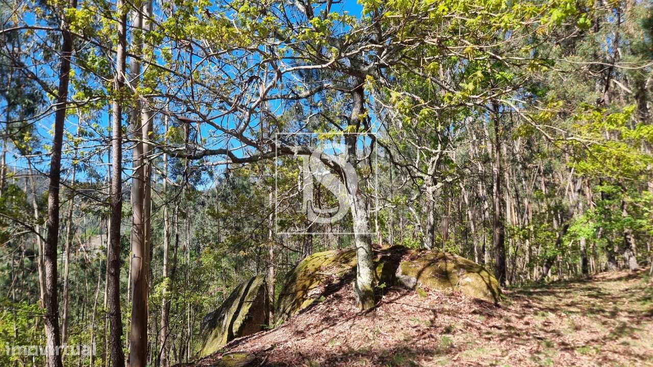 Terreno  Venda em Mosteiro,Vieira do Minho-12