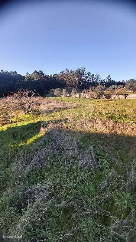 Terreno  para venda - Grande imagem: 3/15