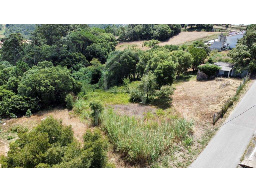 Terreno para construção, Relvas - Grande imagem: 2/6