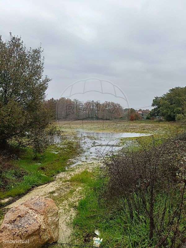 Terreno  para venda - Grande imagem: 5/7