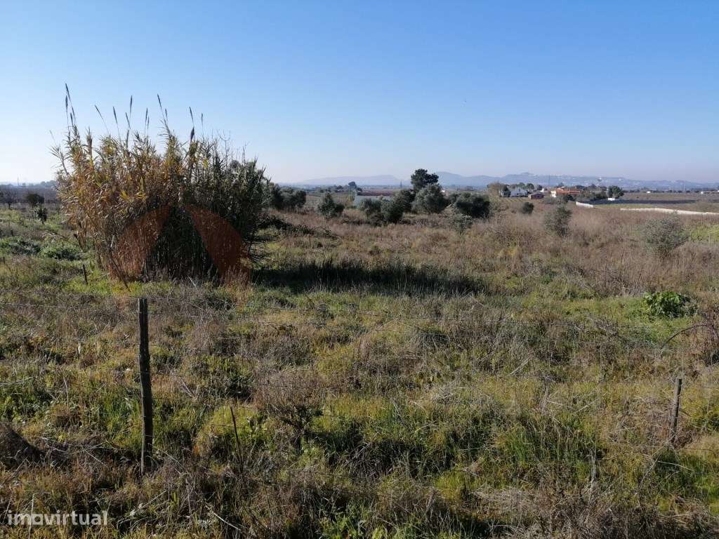 Terreno Rústico, com 15.000 m2, Palmela - Grande imagem: 4/4