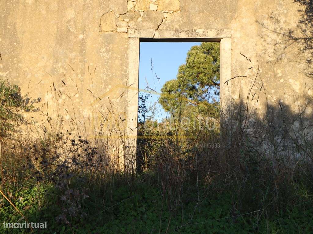 Terreno misto|| são Vicente do Paul|| Santarém - Grande imagem: 5/27