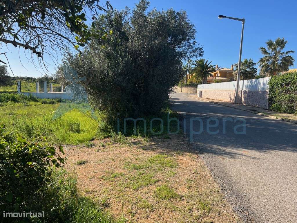 TERRENO RÚSTICO TAVAGUEIRA GUIA - Grande imagem: 3/18