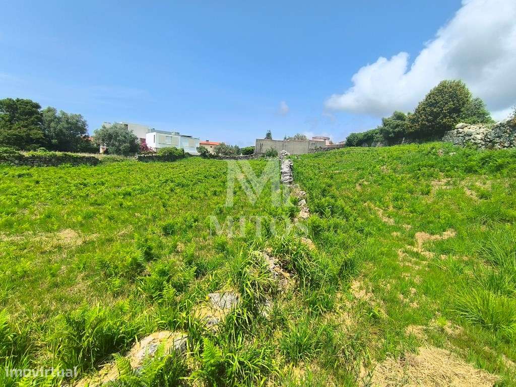 Venda de 2 terrenos para construção - Afife - Grande imagem: 4/15