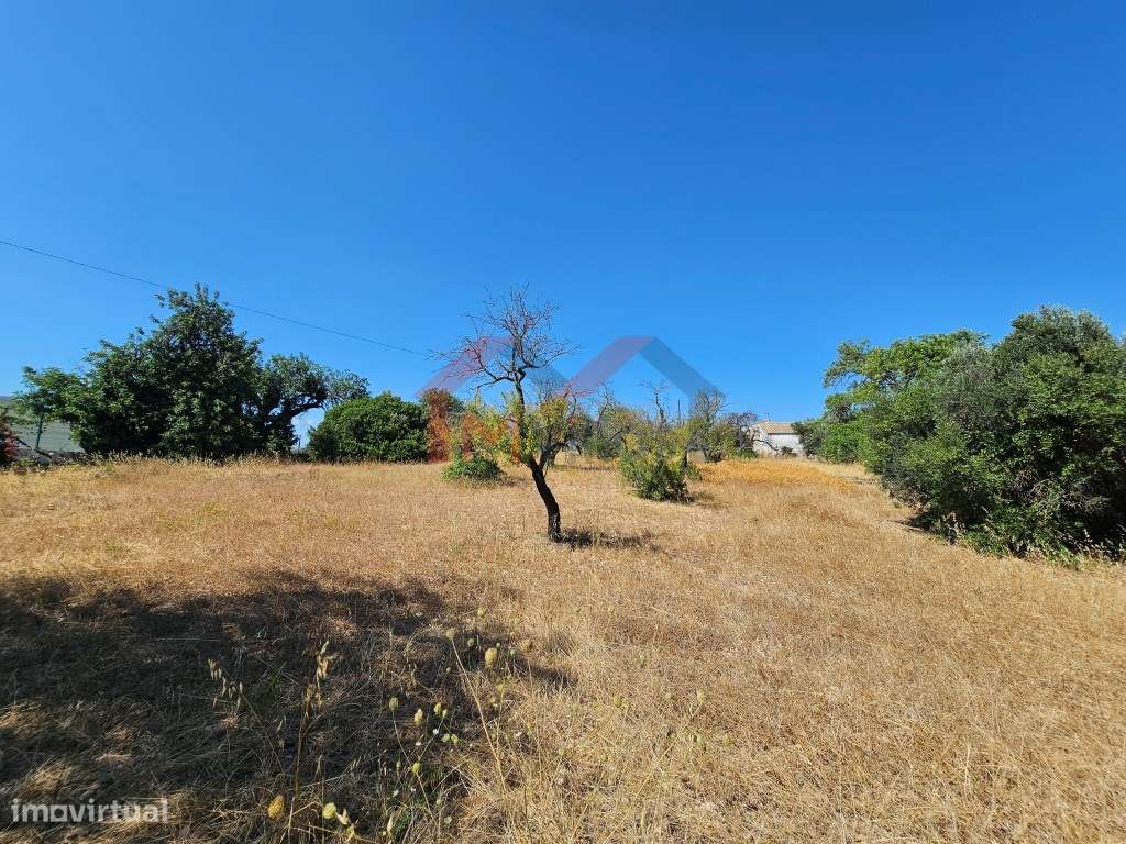 Moradia tradicional V5 para recuperar com terreno de 31.000 m2 - Loulé-9