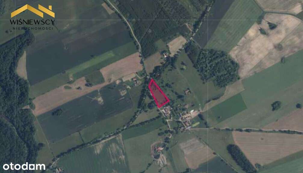 Działka 1.13ha z warunkami zabudowy, Łozy-Braniewo - Pełny obrazek: 5/5