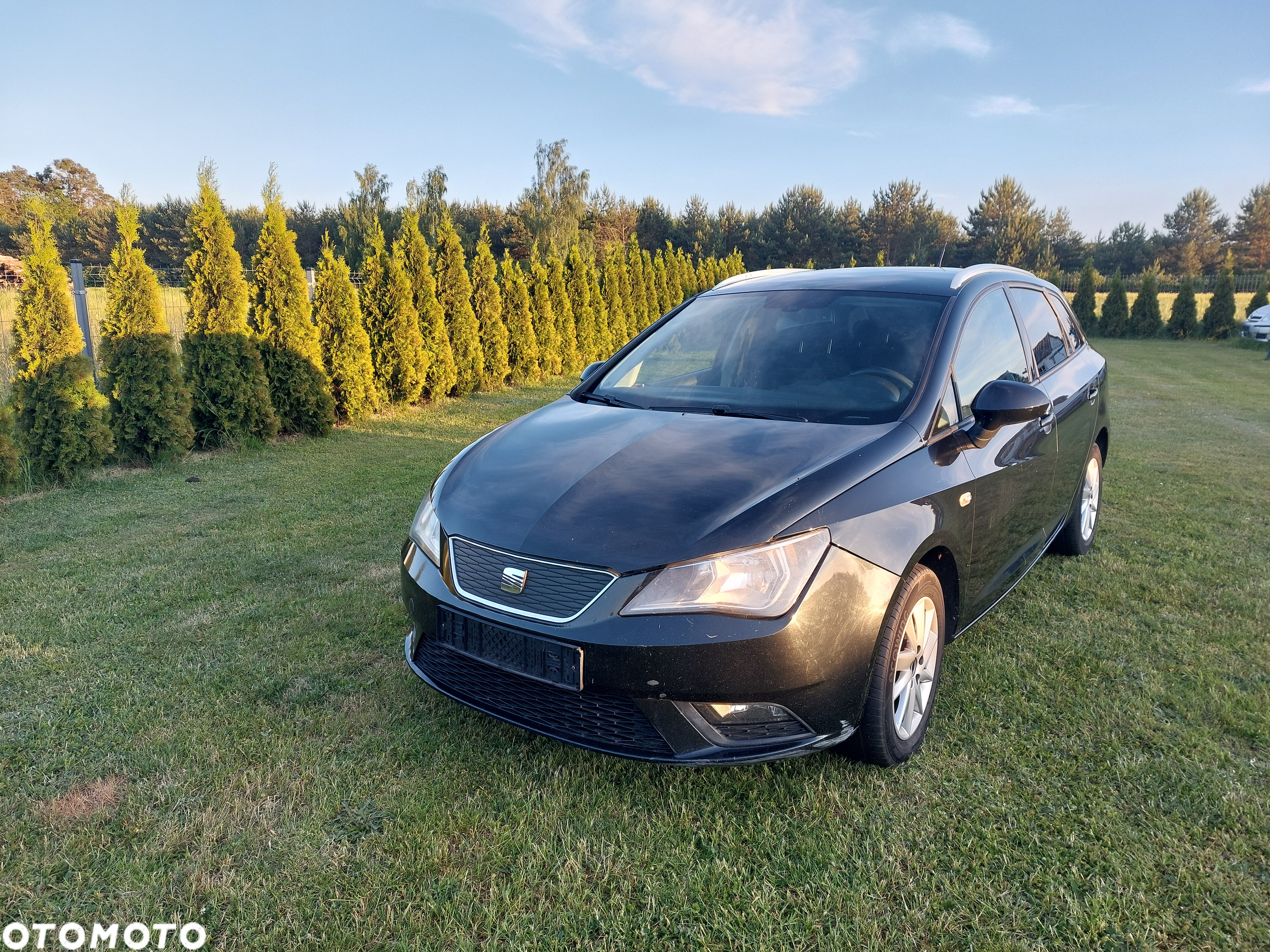 Seat Ibiza 1.2 TDI Ecomotive Reference - 2