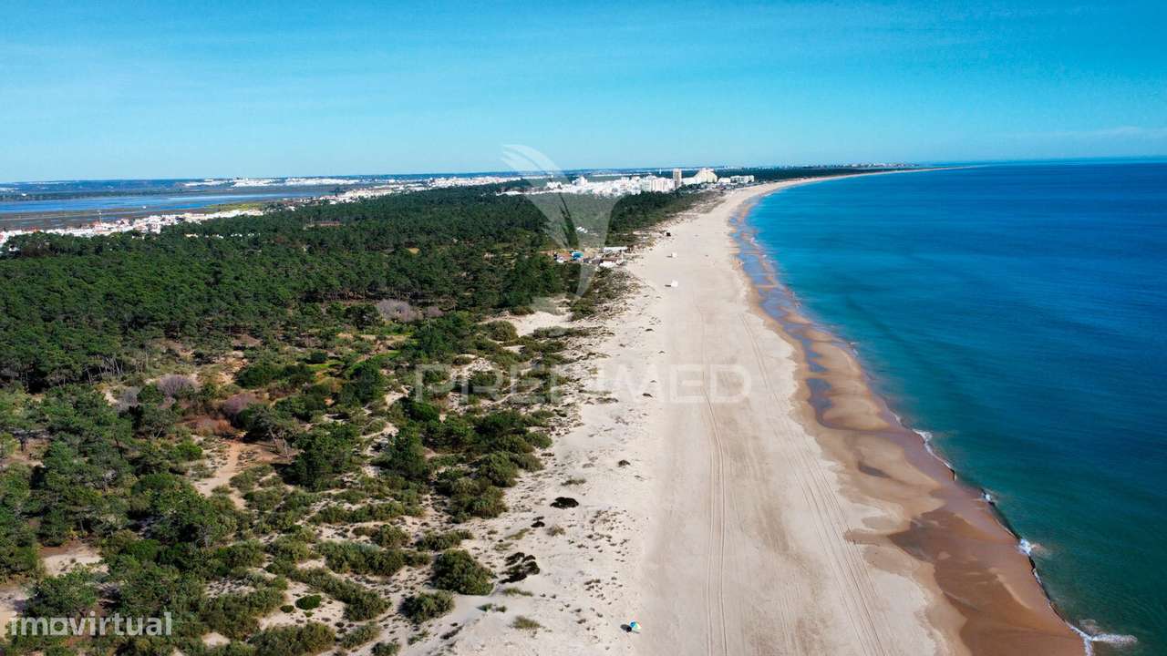 Terreno com 31.5ha com 500 metros de frente de praia - Grande imagem: 3/19
