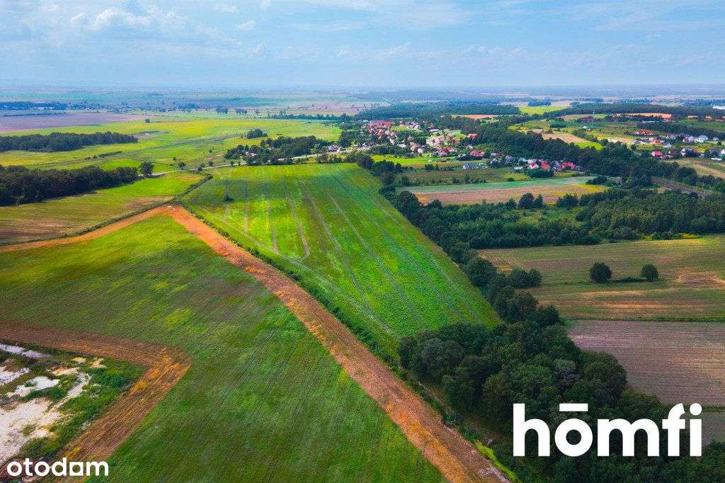 Działka inwestycyjna 11,9 ha w Mazurowicach-7