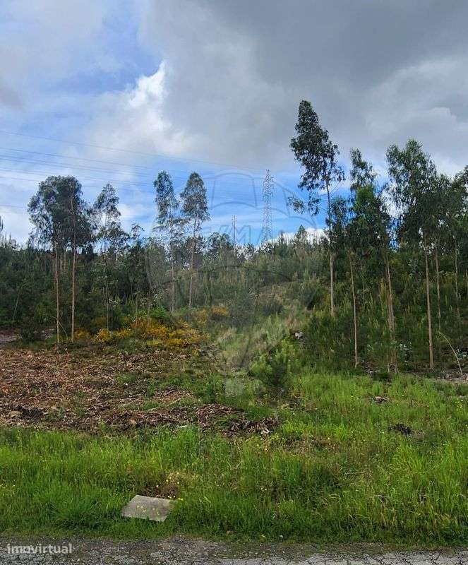 Terreno  para venda - Grande imagem: 3/28