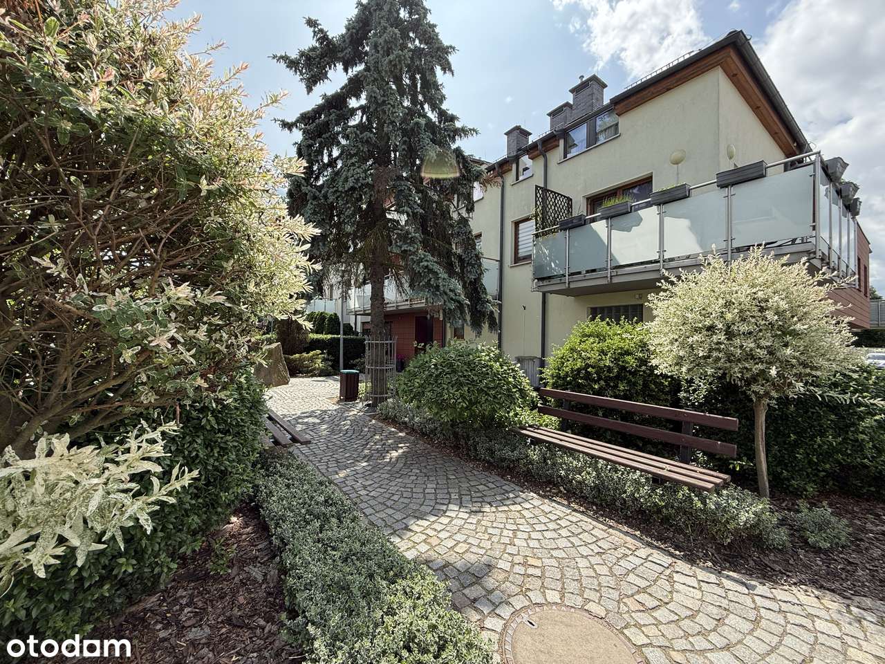 Duży Taras, Maślice przy lesie i zieleni-4