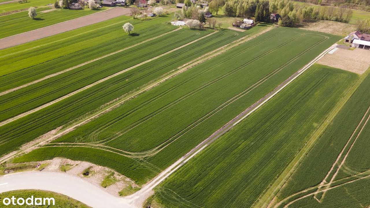 Działka budowlana, 854m², blisko lasu i rzeki, Niedrzwica Duża - Pełny obrazek: 4/7