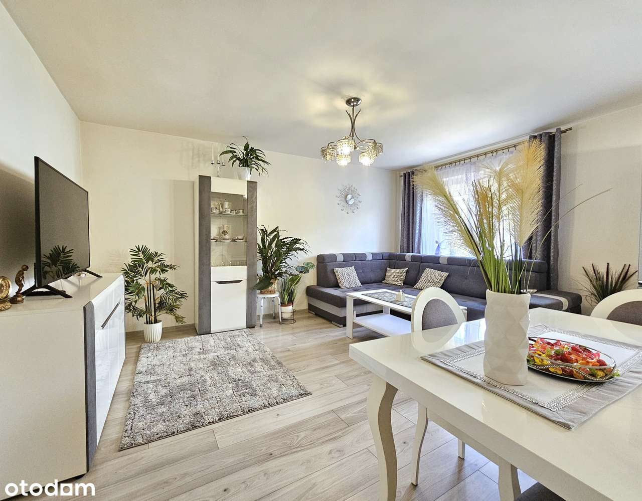 Halemba II-bardzo atrakcyjne M3 w bloku blisko lasu! 2 piętro!-0