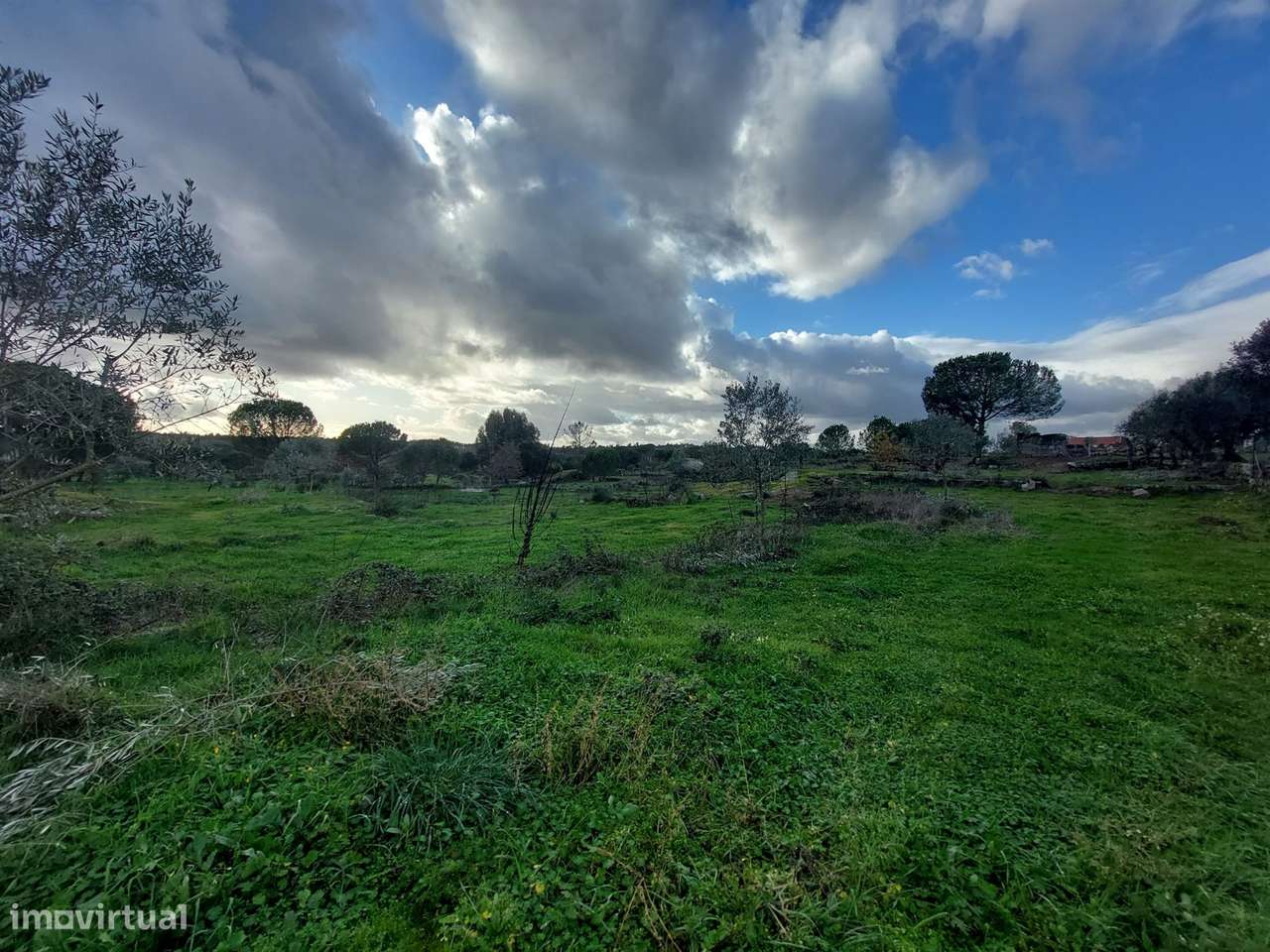 Terreno Para Construção  Venda em Paranhos,Seia - Grande imagem: 2/5