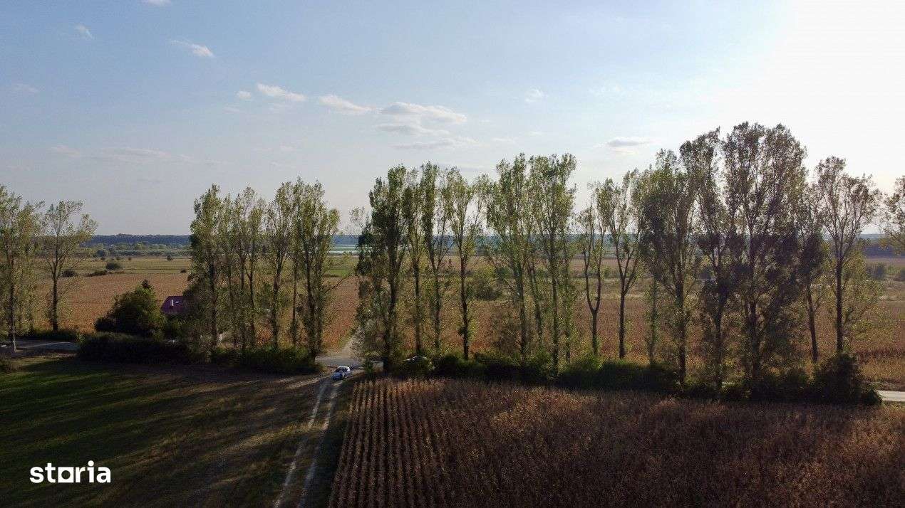 Teren rezidential retras langa lac SNAGOV in Silistea Snagovului, DN1, - Imagine principală: 5/11