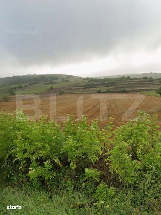 Teren 6800 mp in zona metropolitana Simnicul de Sus - Imagine principală: 2/2