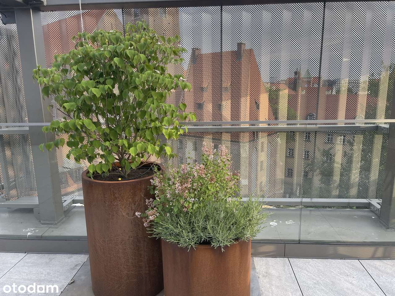 PENTHOUSE nad Odrą Młyn Maria-18