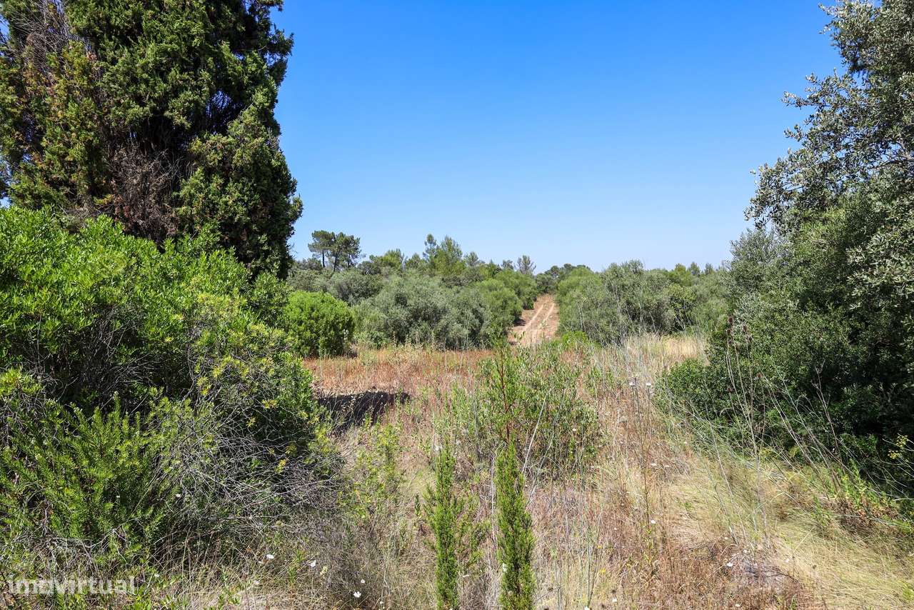 Terreno  Venda em Casével e Vaqueiros,Santarém - Grande imagem: 5/10