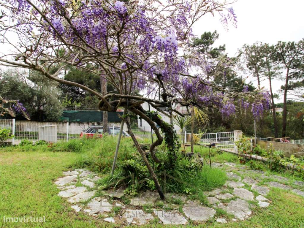 Casa de Madeira, em lote com 400m2, na Lagoa de Albufeira - Sesimbra-32