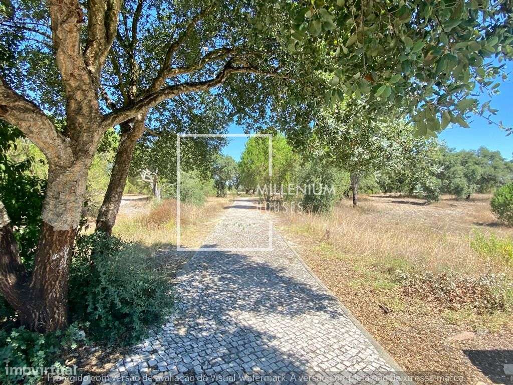 **Moradia V5 | Golfe | Vila Nova de Santo Estêvão**-41