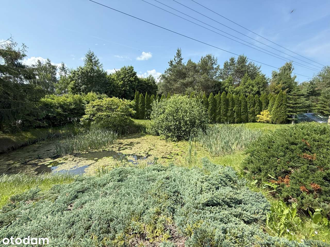Dom z potencjałem - z ogrodem i stawem !!! - Pełny obrazek: 4/6