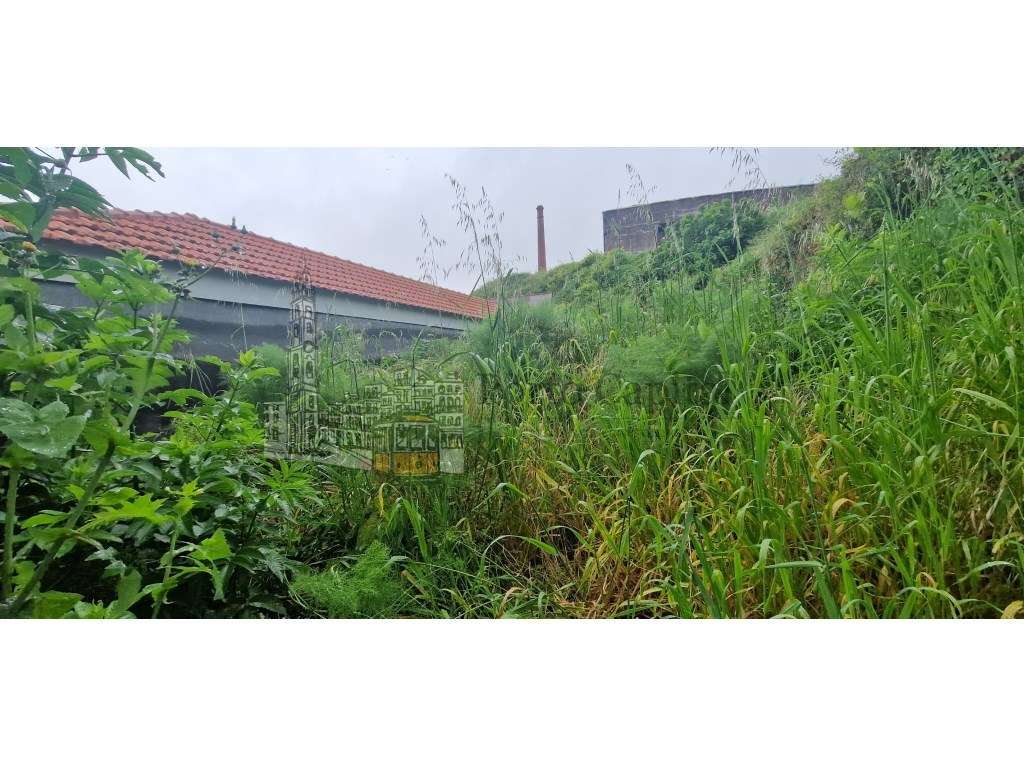 Excelente terreno para venda próximo 24 de Agosto. - Grande imagem: 4/17