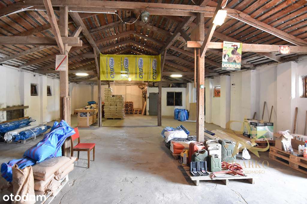 Do wynajęcia Budynek przemysłowo-handlowy - Pełny obrazek: 4/9