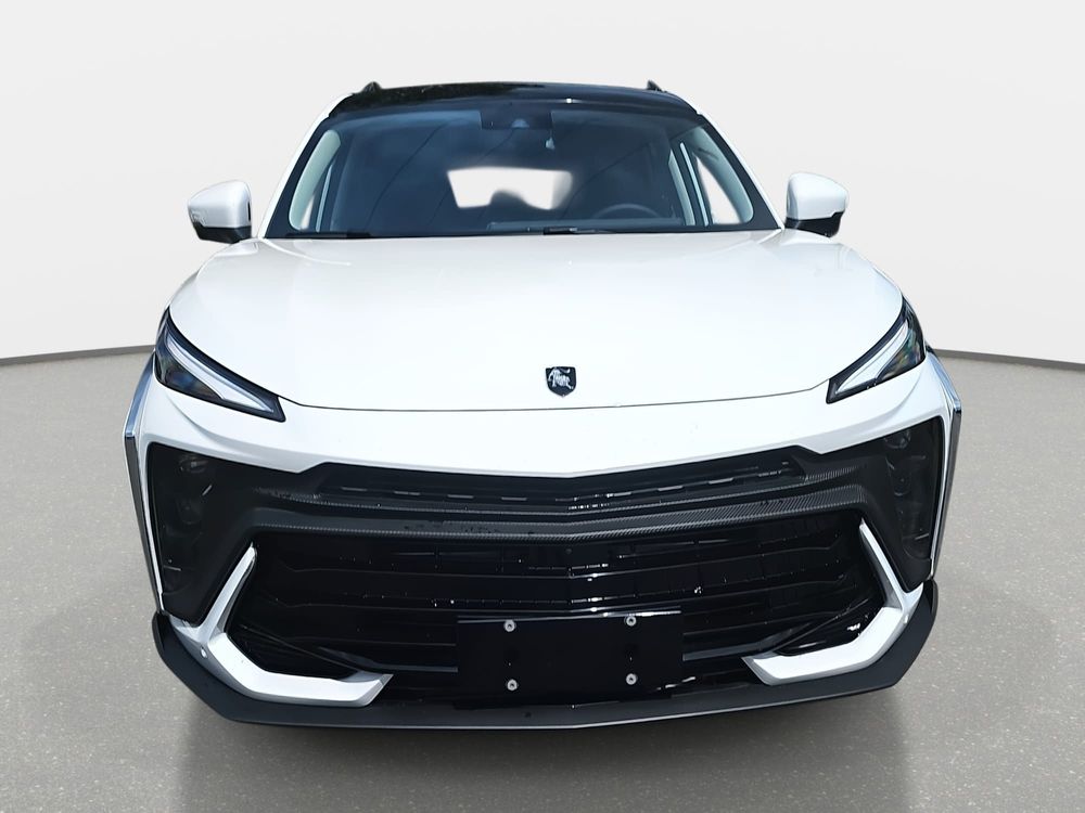 forthing t5-evo