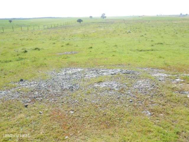 Terreno Agrícola zona Lago de Alqueva - Grande imagem: 4/8