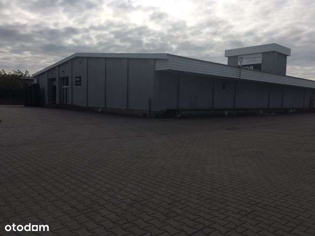 Hala/Magazyn, 800 m², Środa Wielkopolska - Pełny obrazek: 2/5