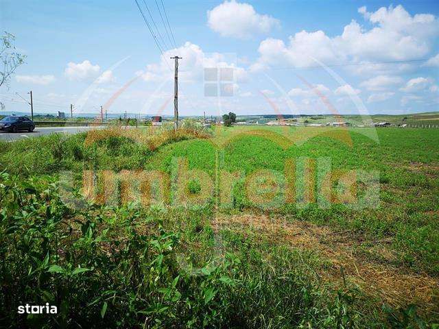 Teren de vanzare in Iclod  8.659m²  DN1 - Imagine principală: 4/4