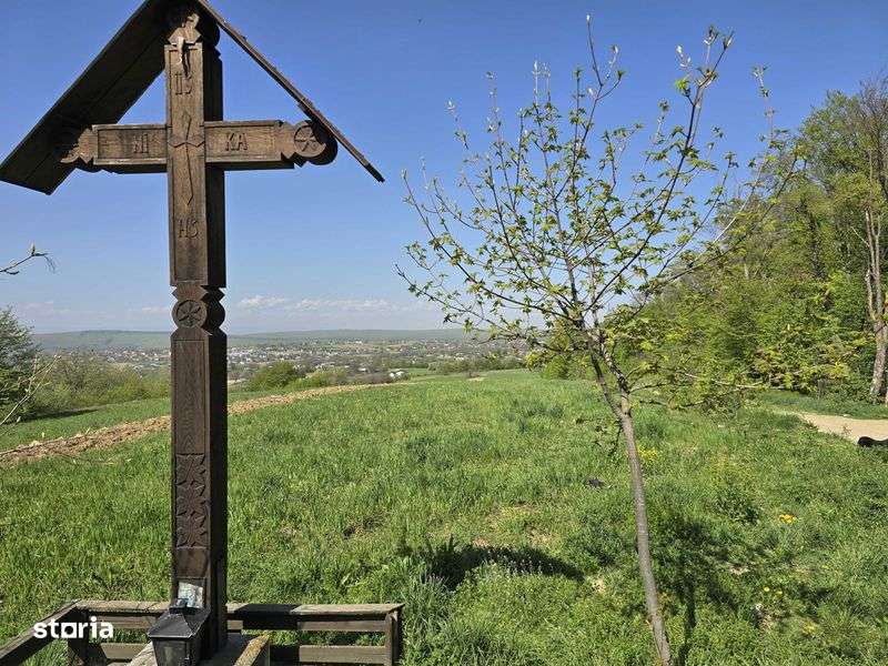 TEREN INTRAVILAN M. Dragomirnei ( priveliste de vis linga padure) - Imagine principală: 5/8