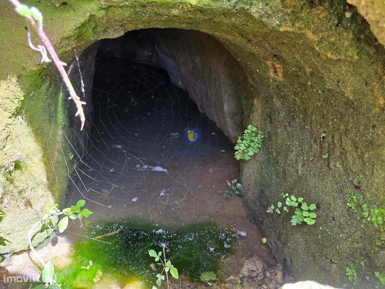 Quintinha com 12.484m2 de Terreno e 260m2 de área bruta. Possibilidad-21