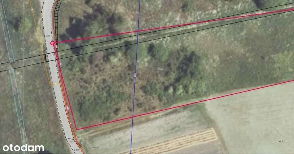 Działka mieszkalno-usługowa 50 arów - Pełny obrazek: 4/7