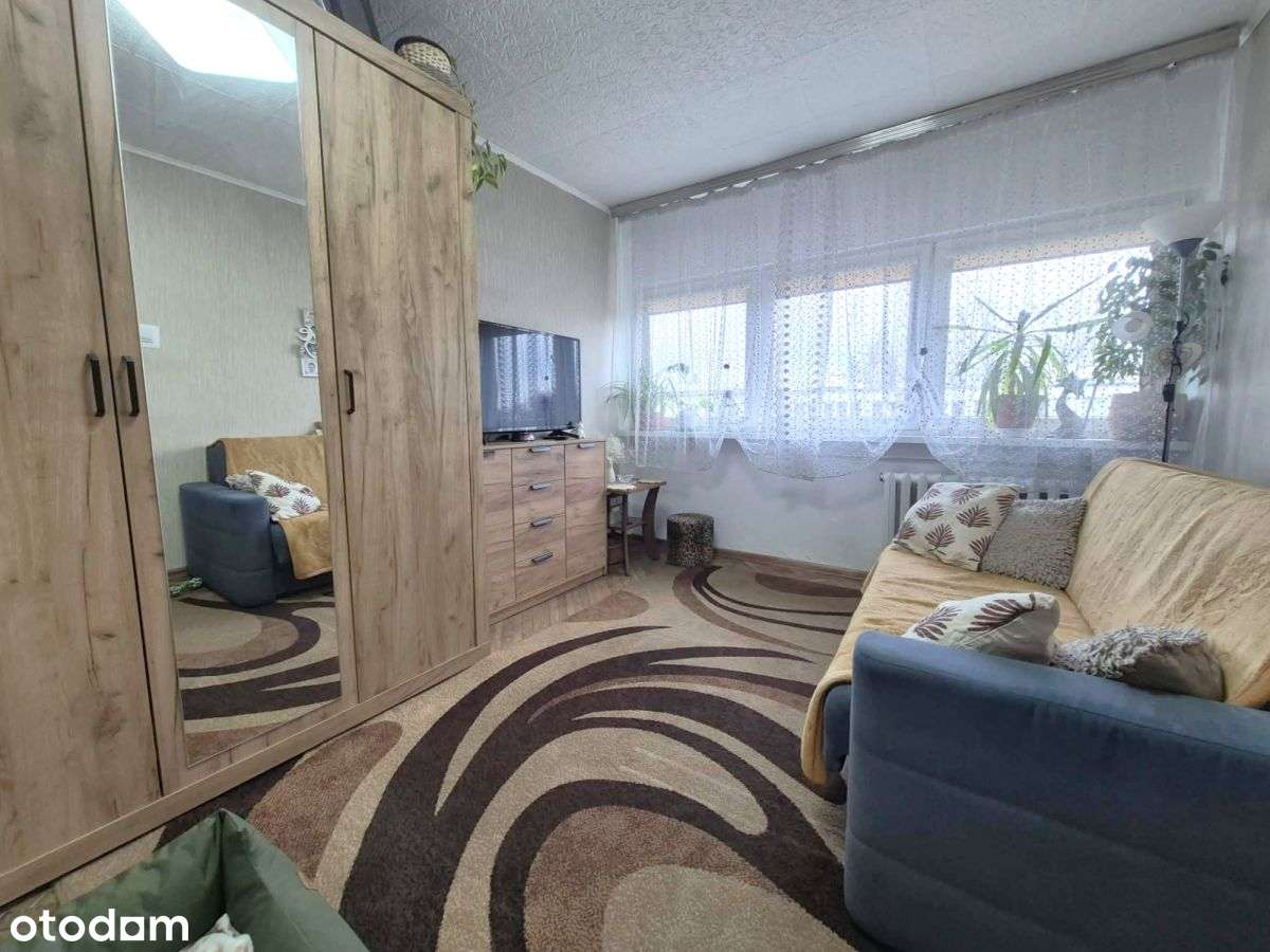 Duże 3 pokoje na Teofilowie - Pełny obrazek: 5/9