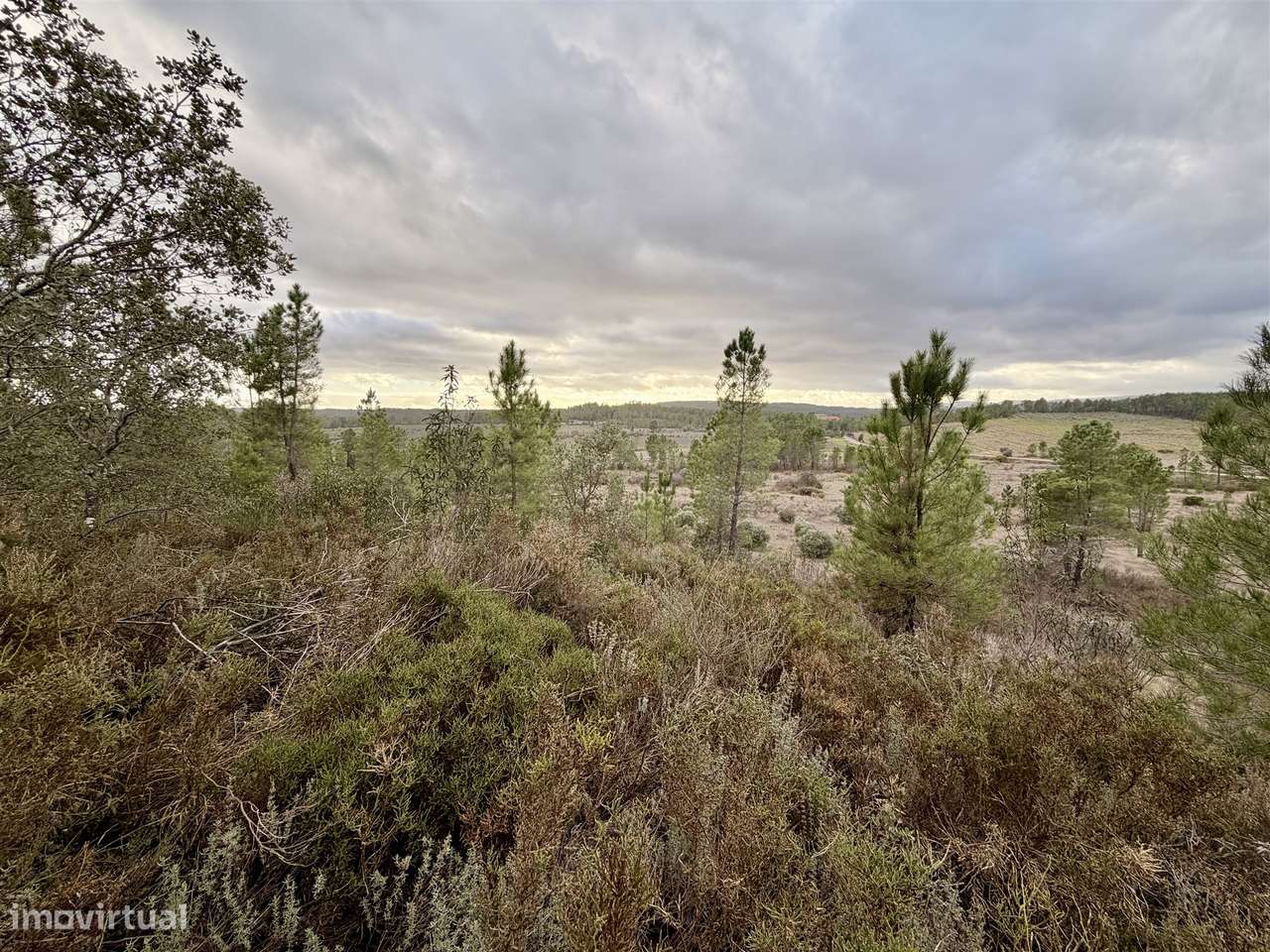 Quinta T0 Venda em Sarzedas,Castelo Branco-23