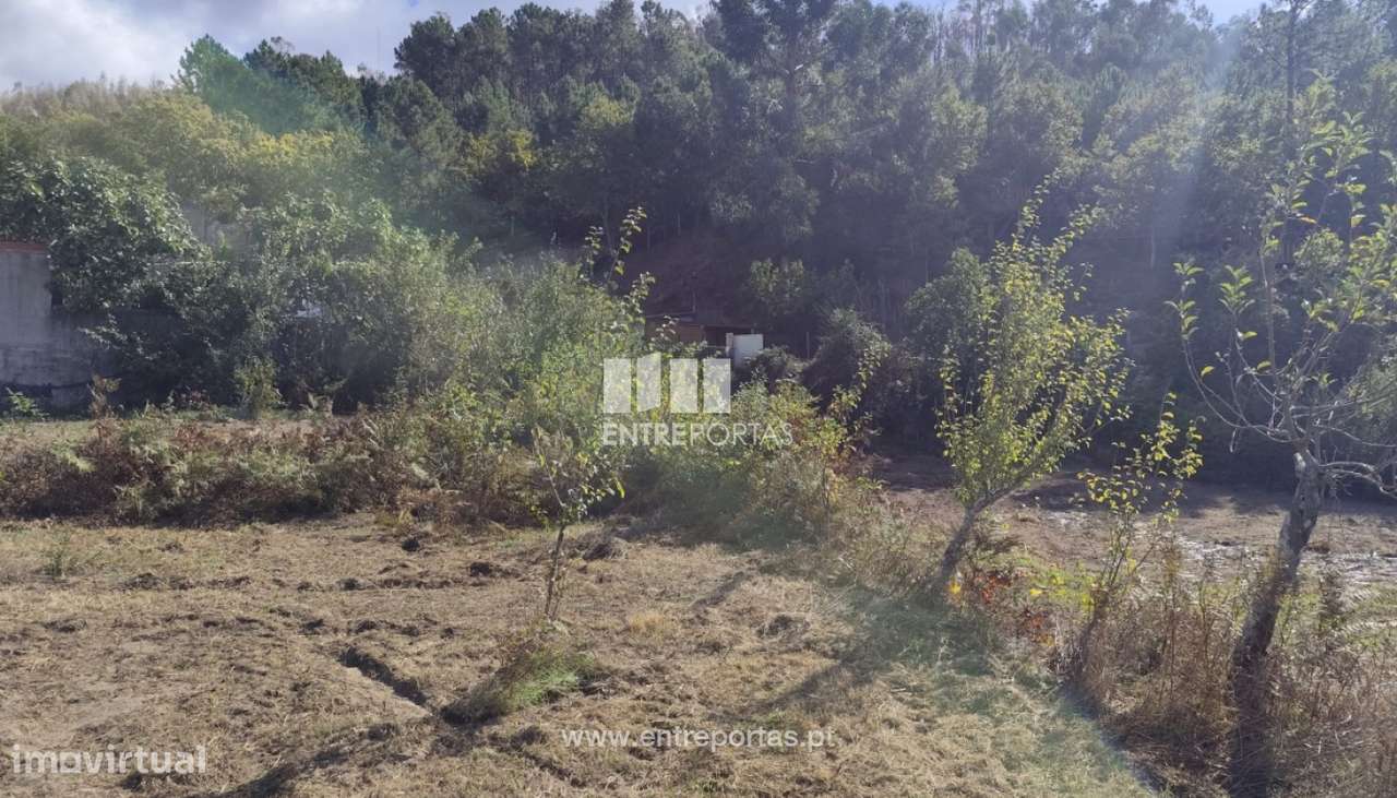Venda Terreno, Tarouquela, Cinfães - Grande imagem: 4/23